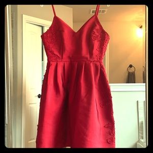 Red boutique dress with side appliqué.